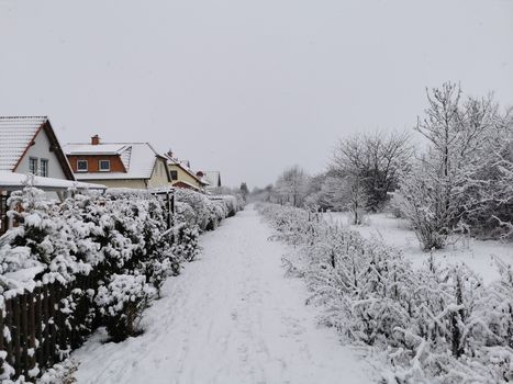 Sneeuw in Oudgouda: verkeer, winterpret en schaatskansen
