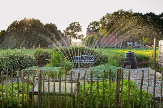 Groene klimaatadaptatie tuin in Oudgouda met regenton, minder tegels, schaduw en inheemse beplanting