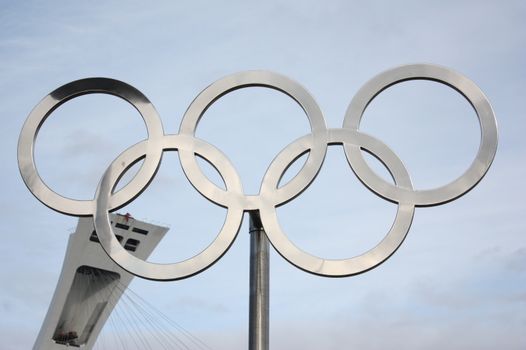 Fan kijkt skeleton olympische spelen 2026 op tv in café bij de Markt in Gouda